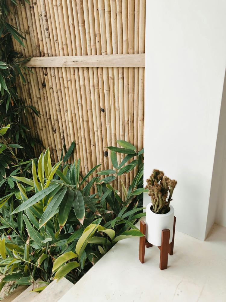 Houten palen van Tuinchamp