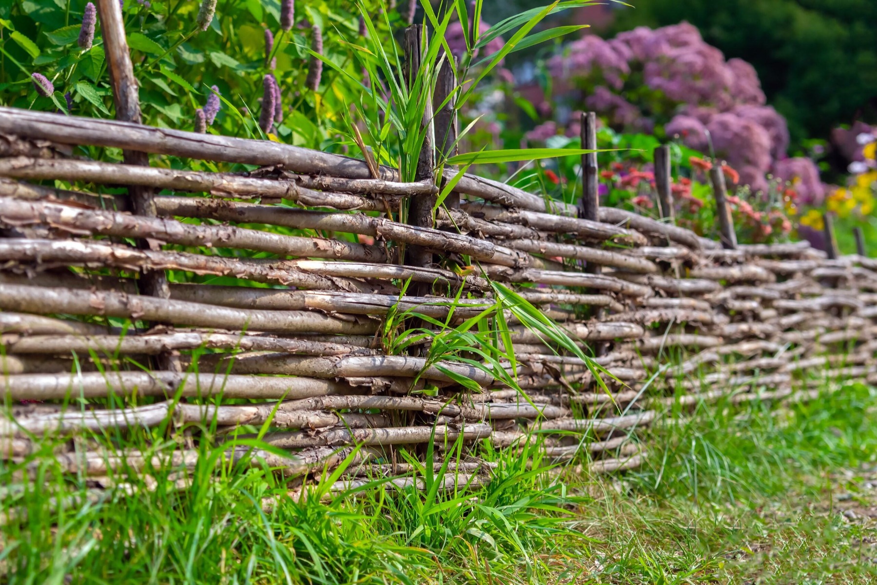 Afbeelding van Overige tuinafscheidingen